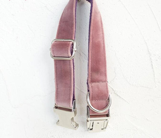 Pet Traction Collar Dog Collar
