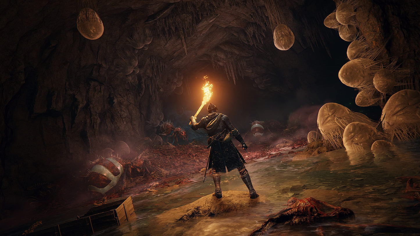 Bandai Namco Elden Ring (PS5)