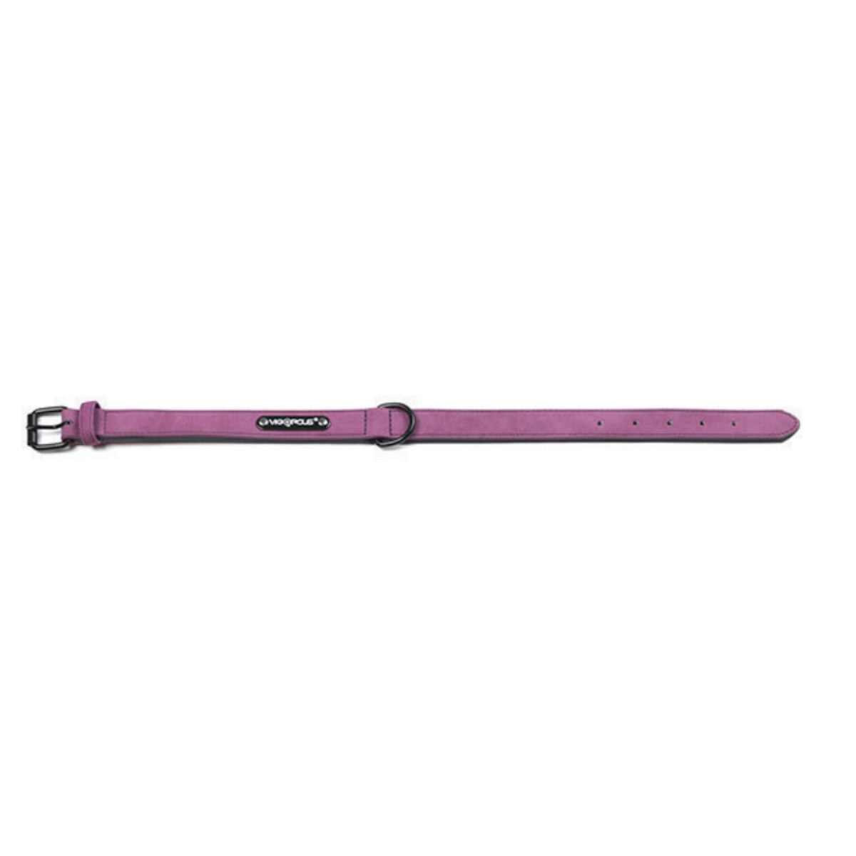 Matte Anti Lost Dog Collar