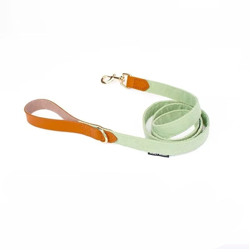 Dog Lettering Leather Bowknot Collar Hand Holding Rope