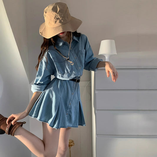 Womens Chic Casual Denim Shirt Dress