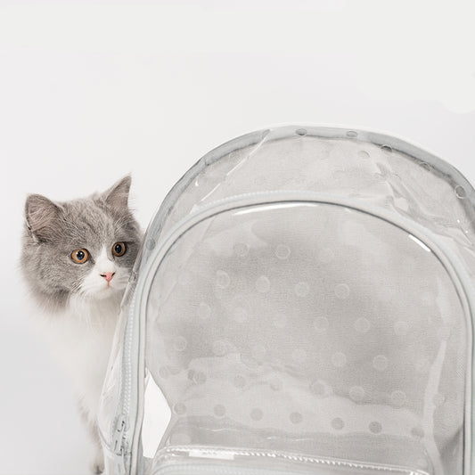 Fully transparent portable cat walking bag