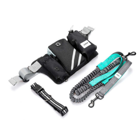 Outdoor Pet Training Bag Dog Walking Hand Holding Rope