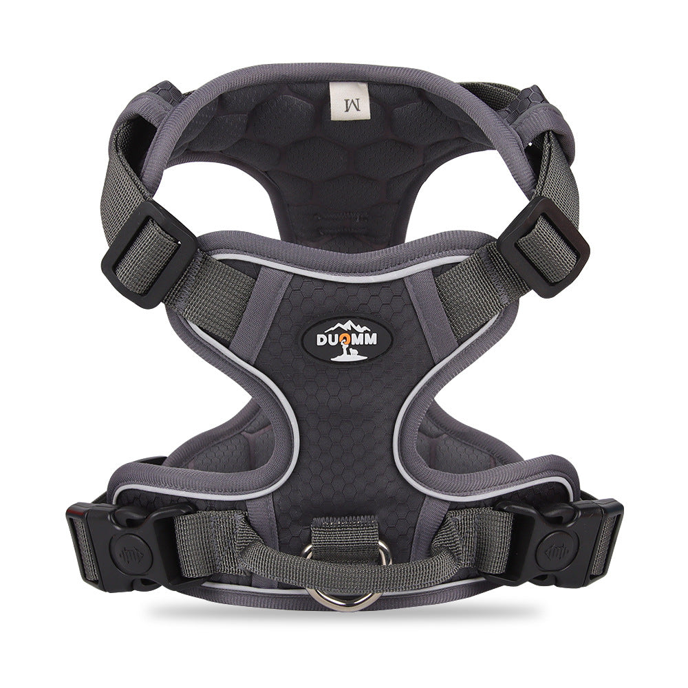 Dog Hand Holding Rope Vest Reflective