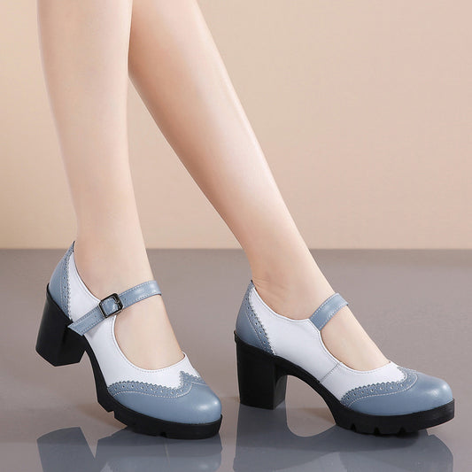 Vintage Mary Jane Casual Shoes Breathable Thick Heel Buckle