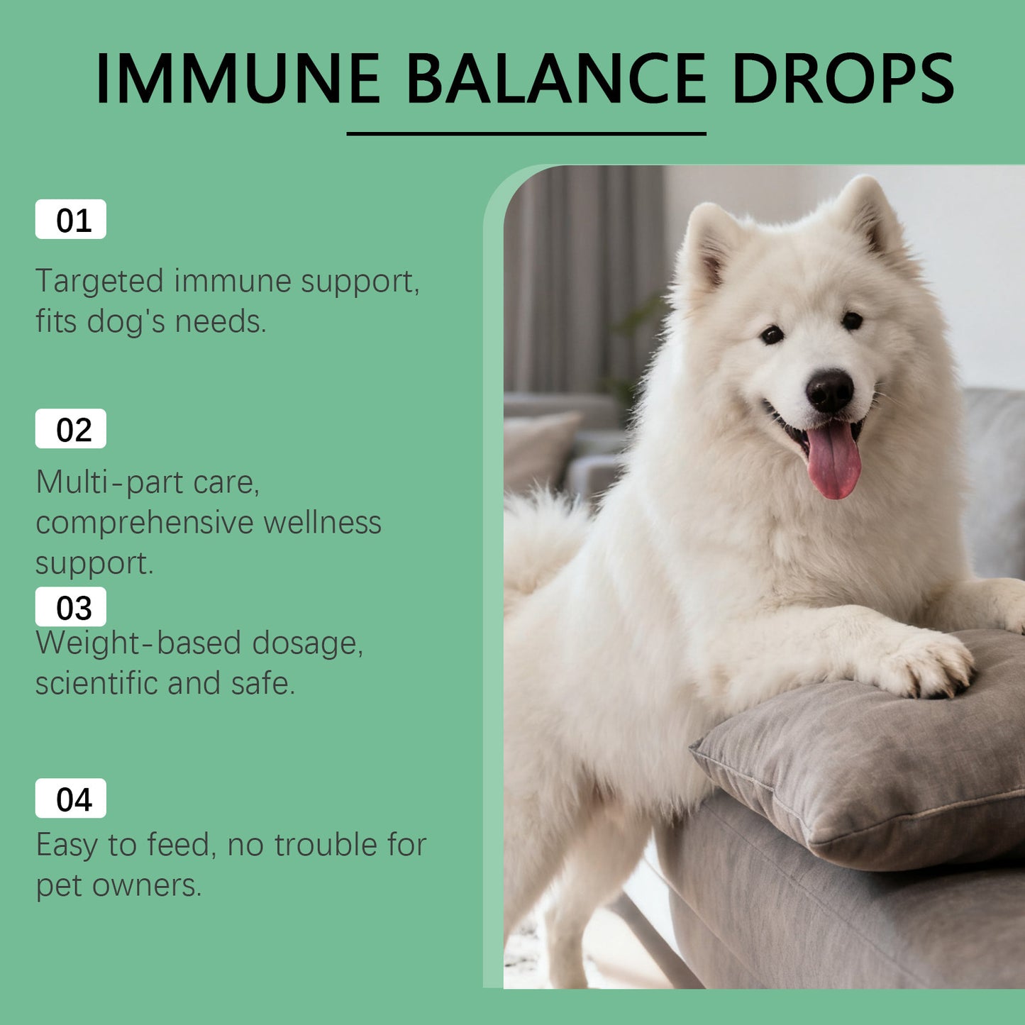 Immune Herbal Drops For Dogs