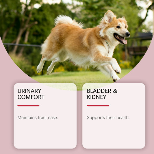 Dog Urinary Herbal Relief Drops