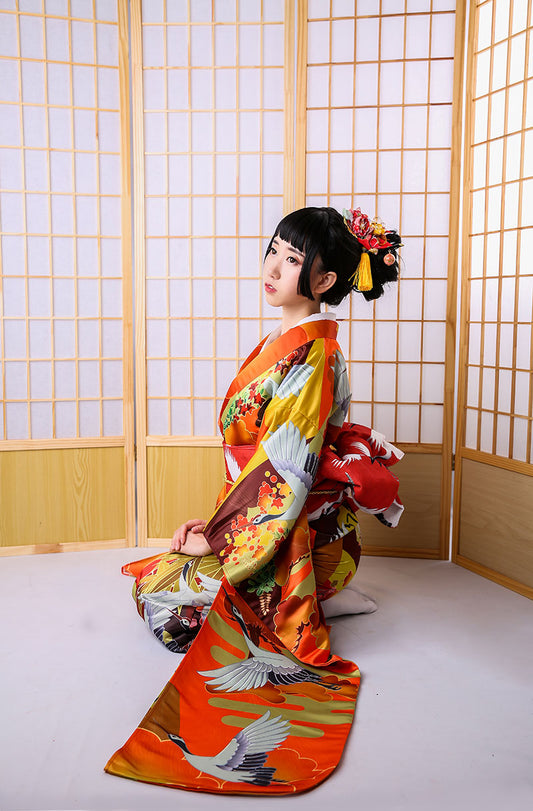 Auspicious Clouds And Cranes Jinxiutu Kimono Formal Dress