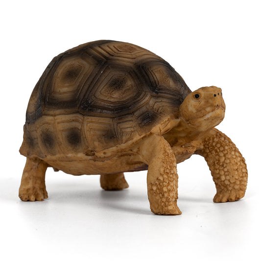 Resin Ornamental Figurine For Pet Turtle Tanks, Designed To Mimic A Brazilian Turtle Habitat