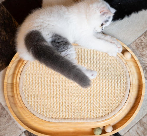 Solid Wood Cat Toy For Playful Pets