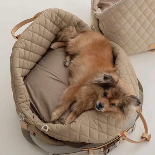 Car Removable New Nylon Waterproof Pet Bag