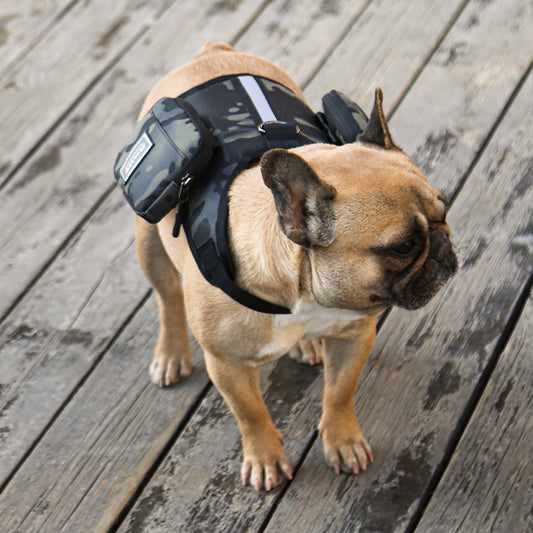 Go Out Portable Multi-function Pet Backpack With Leash