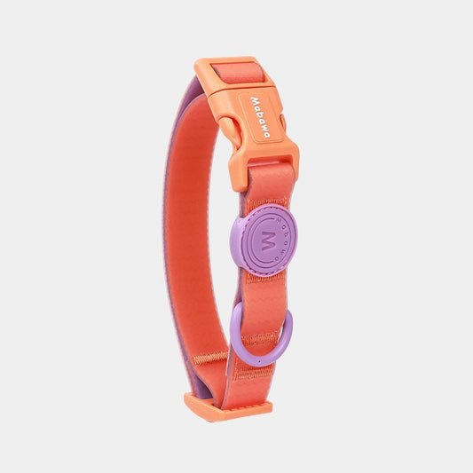 Waterproof Nylon Dog Collar With Traction Rope