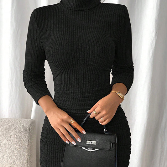 Euro-American Style High-neck Dress