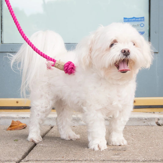 Hand Woven Gradual Pet Traction Rope