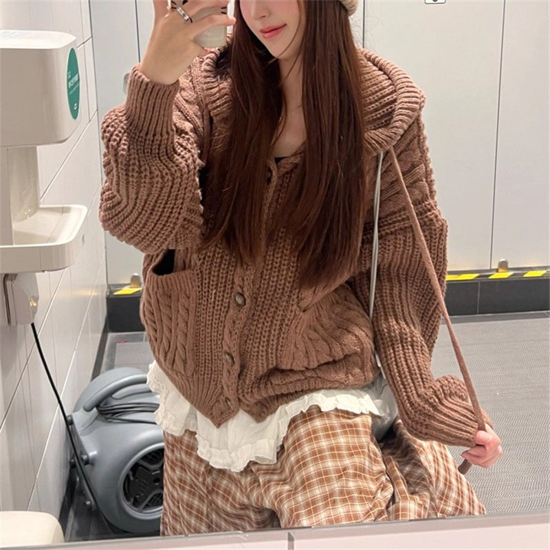 South Korea Retro Twist Hooded Sweater