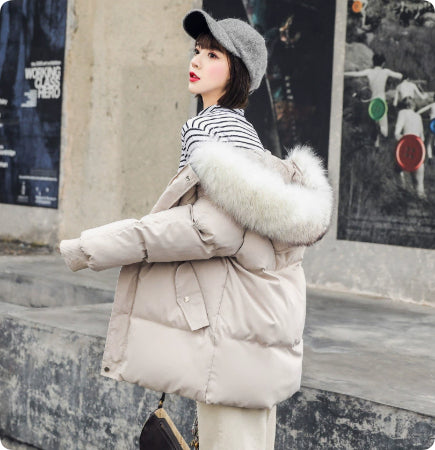 Foreign Trade Elegant Winter Korean Style Slim Fit All-matching Cotton-padded Clothes For Women