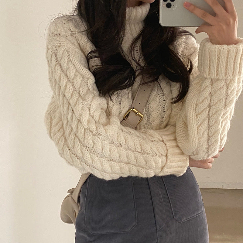 Autumn And Winter Turtleneck Extra Thick Warm Pullover Sweater Retro Twist