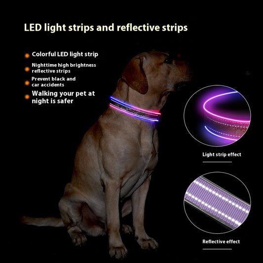 LED-lysende hundehalsbånd med print og refleksstribe, USB-opladeligt