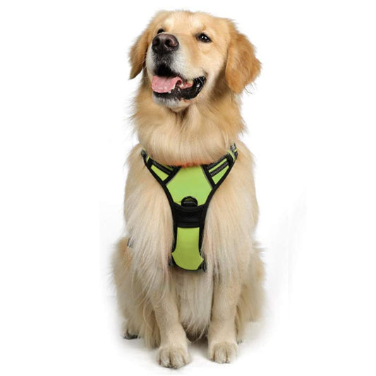 Stor hundevestsele til hunde