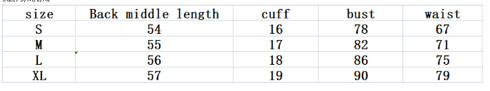 Long Sleeve Top European And American Women's Clothing