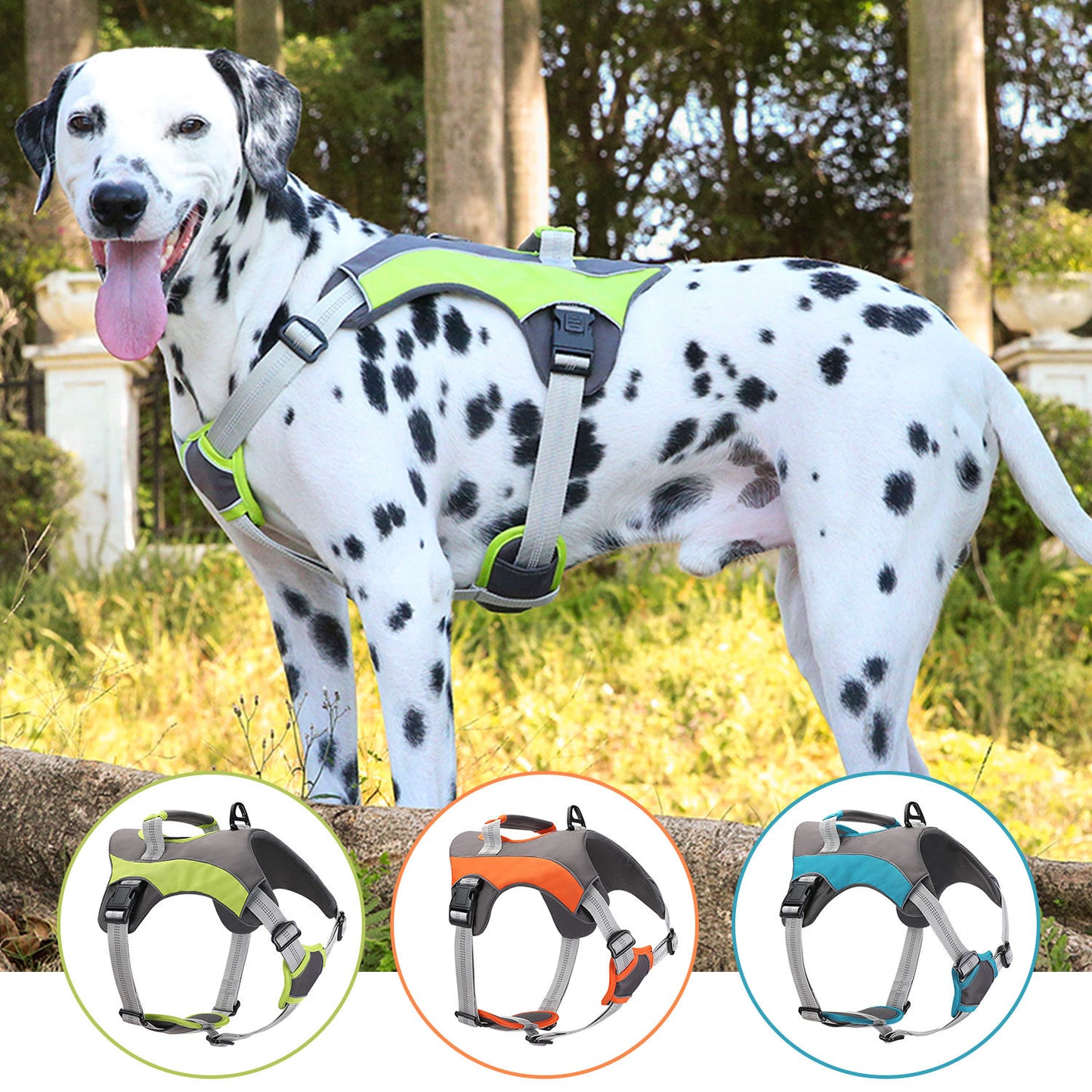 Breathable Large Dog Chest Harness With Leash