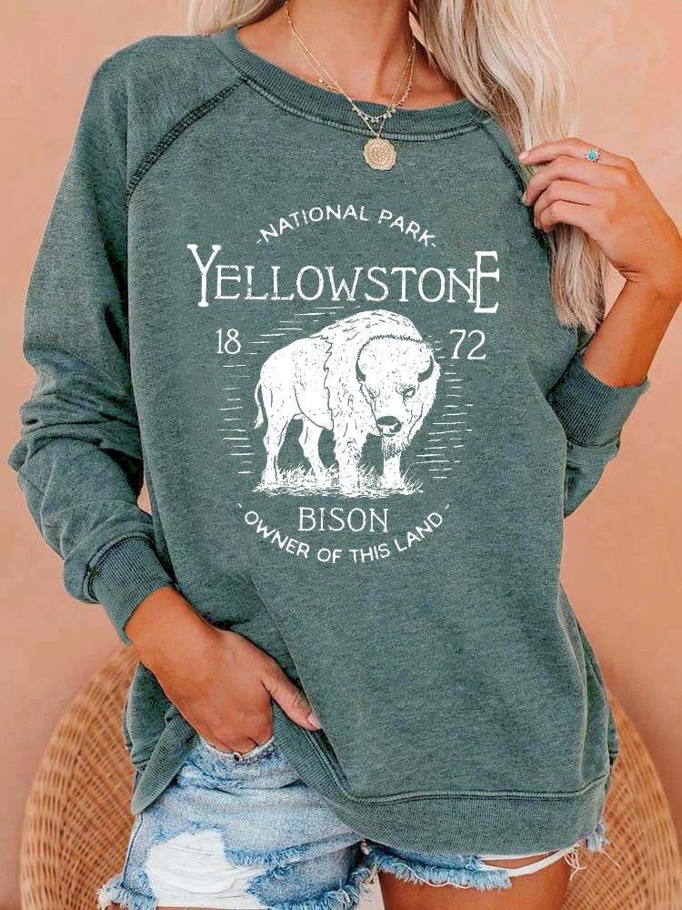 New European And American Personalized Elements Women's Sweater