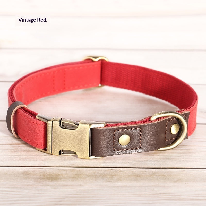 Medium Sized Dog Collar For Walking