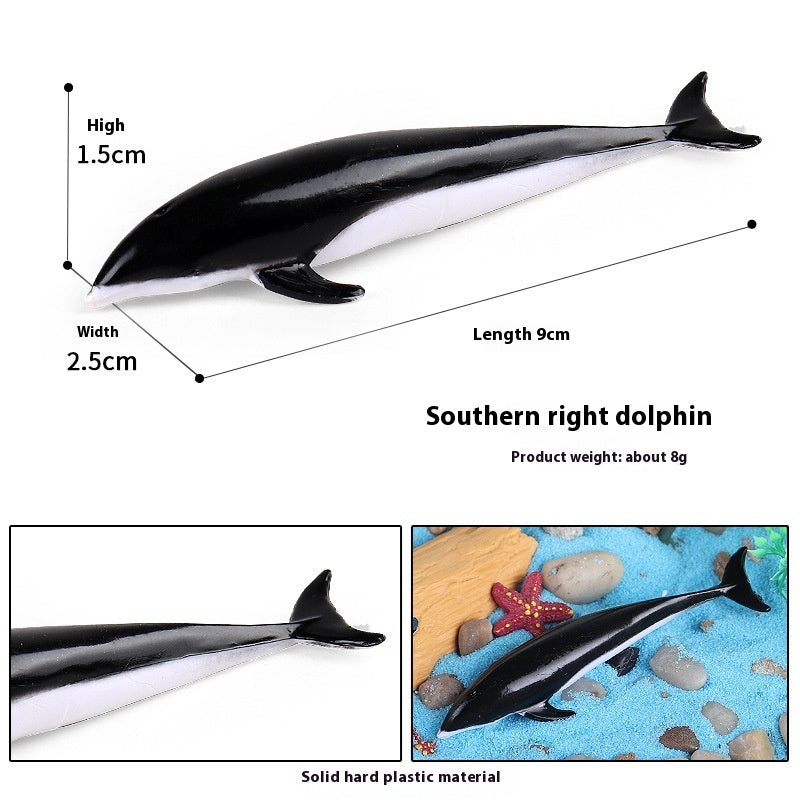 Simulation Marine Animal Model Children's Cognitive Toy