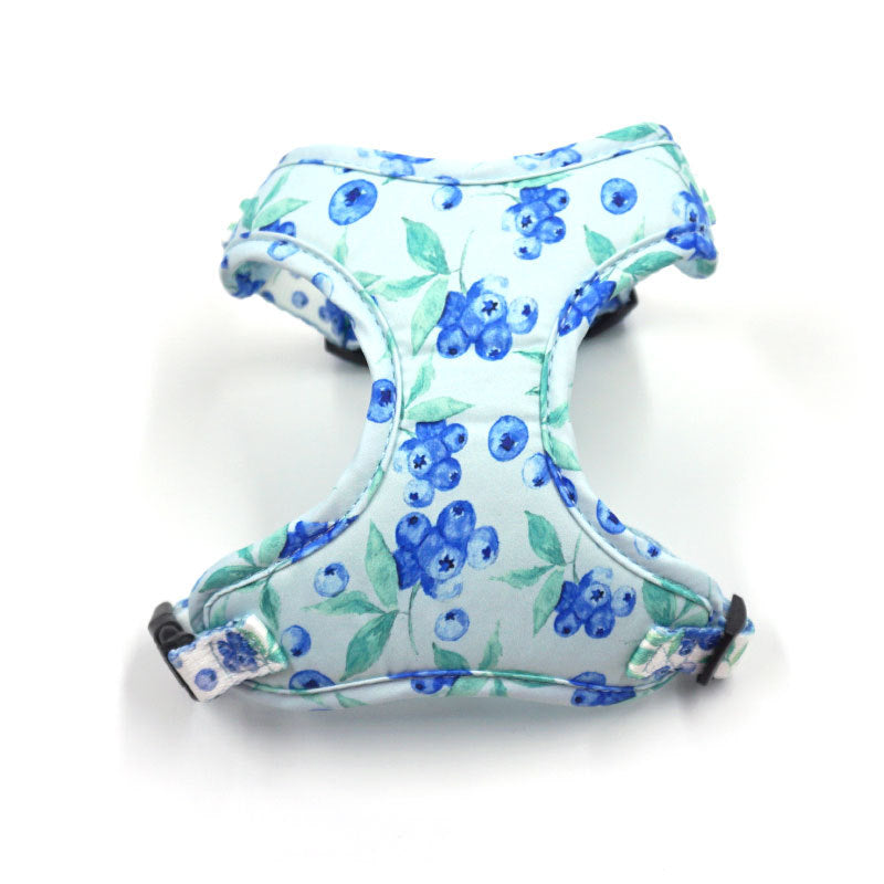Breathable And Comfortable Dog Go Out Chest Strap Miha New Ins Wind Blueberry