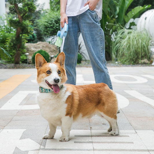 Dog Traction Rope With Light Automatically Retractable Small And Medium-sized Dogs