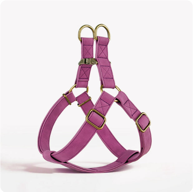 Dog Vest-style Pet Harness For Small And Medium-sized Dogs