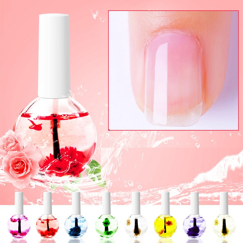 Negleskønhed Tørrede Blomster Næring Neglebehandling Olie Mod Tørre Neglebånd Neglekant Fugtgivende Neglelak Base Coat Naturlig Tørret Blomst Næringsopløsning