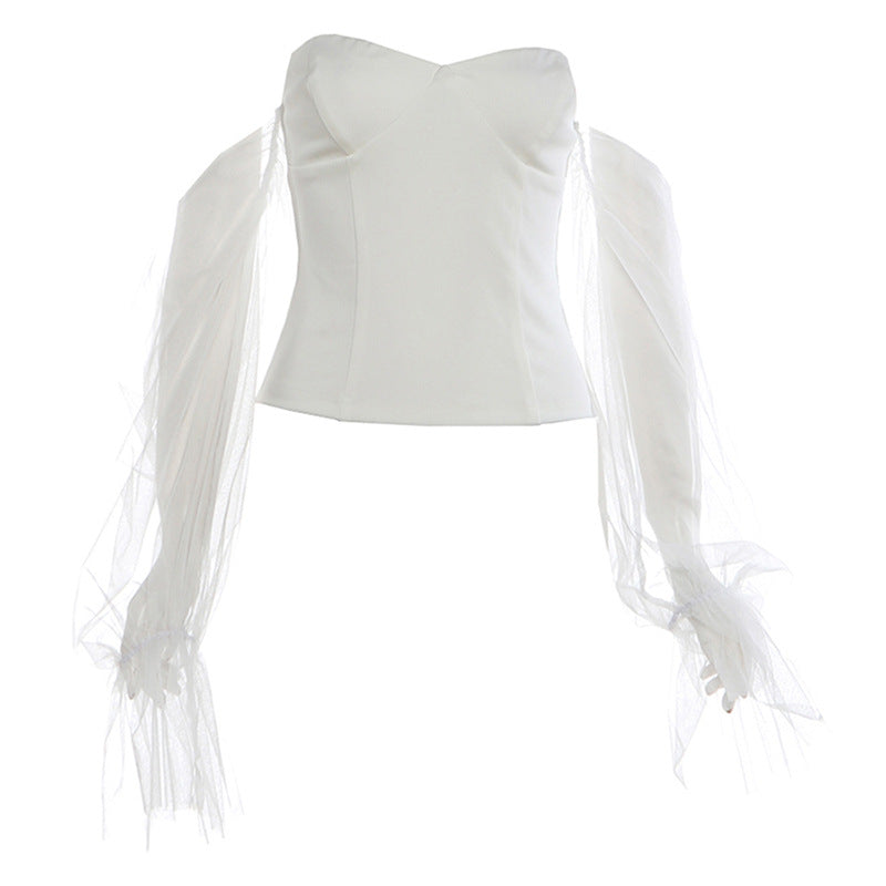 Mesh Long-sleeve Tube Top With Waist-cinching Design Slim-fit Skirt For Women