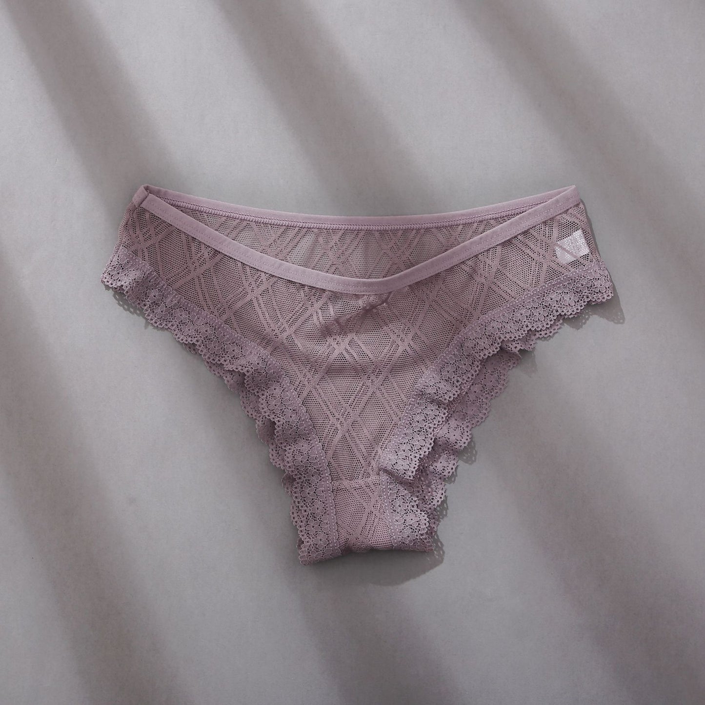Women's Mesh Lace Trim Panel Briefs