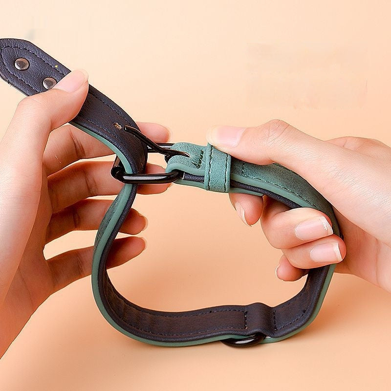 Simple And Portable Anti Loss Adjustable Dog Collar