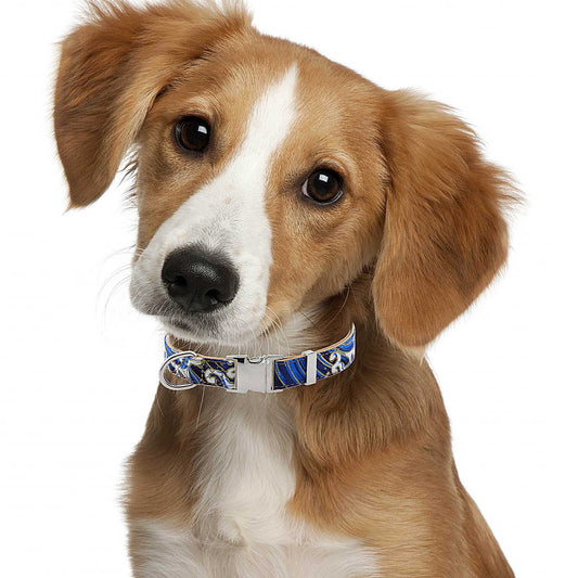 Popular Flower Decorative Pet Collar