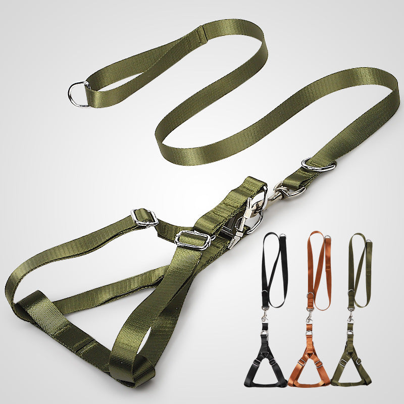 Golden Wool Edged Shepherd Husky With Big Dog Leash