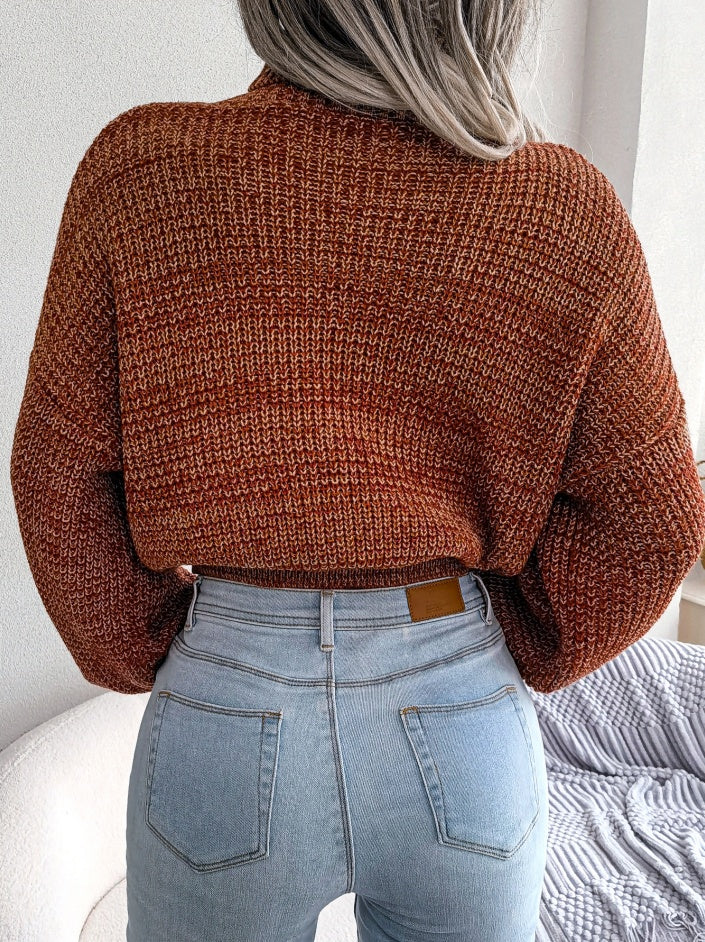 Women Mixed Color Lantern Sleeve Turtleneck Knit Sweater
