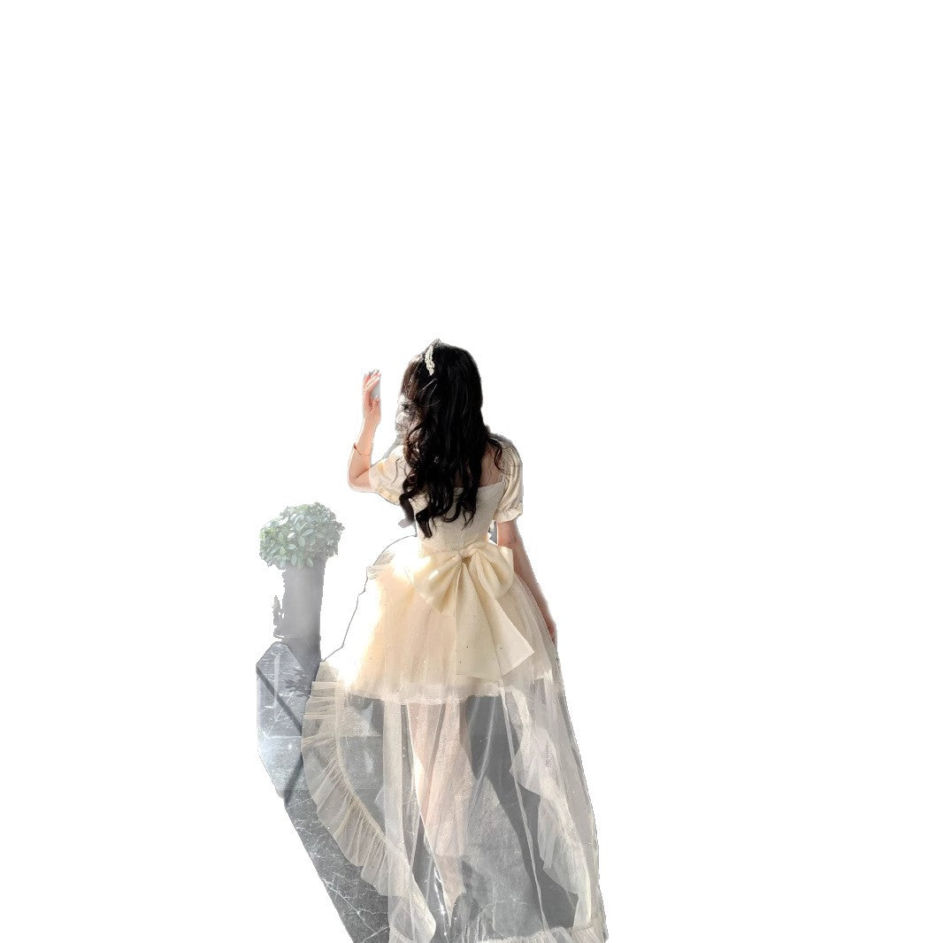 Puffy Sequined Ball Gown With A Large Bow Jacquard Design And A Trailing Skirt