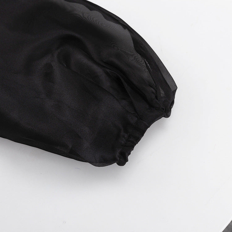 Black Sheer Puff Sleeve V-neck Tie-front Top