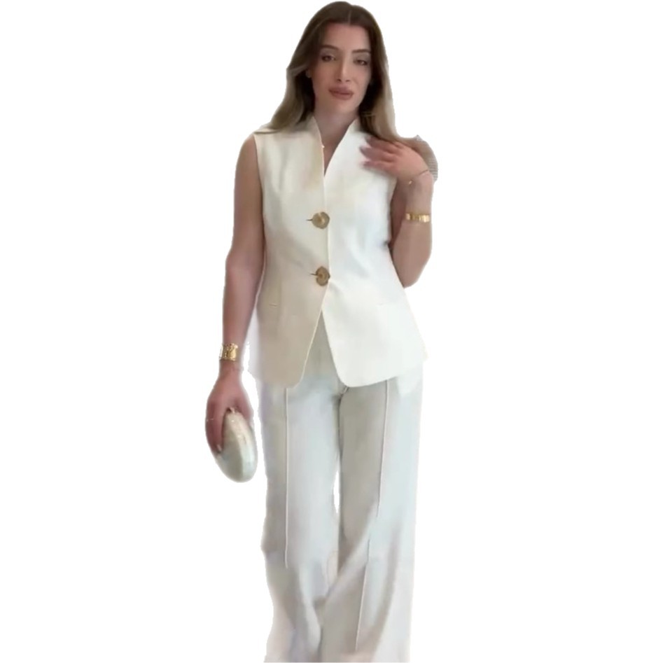 Casual Stylish Sleeveless Business Suit With A Professional Vibeincludes A Blazer And Tailored Trousers