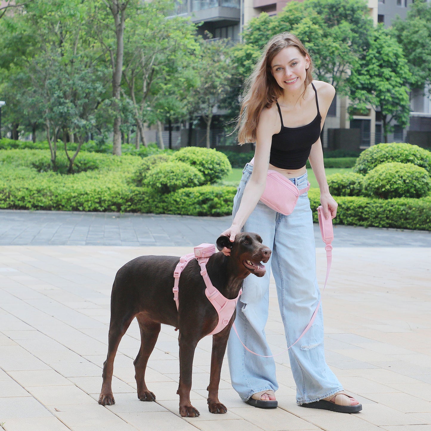 Design Pink Corduroy Pet's Chest-back Can Carve Writing Collar Rope Dog Walking Bag
