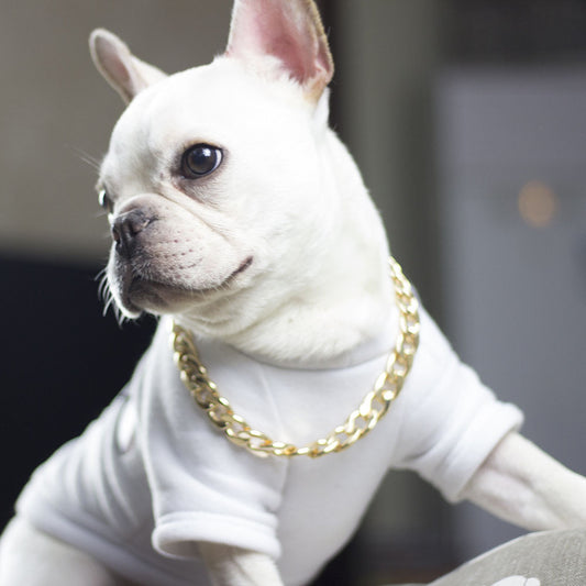 Fashionable Simple Domineering Metal Pet Necklace