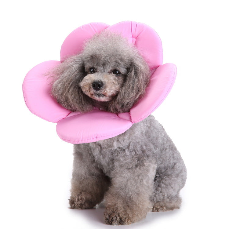 Krave med bandanatørklæde og blomster til hunde