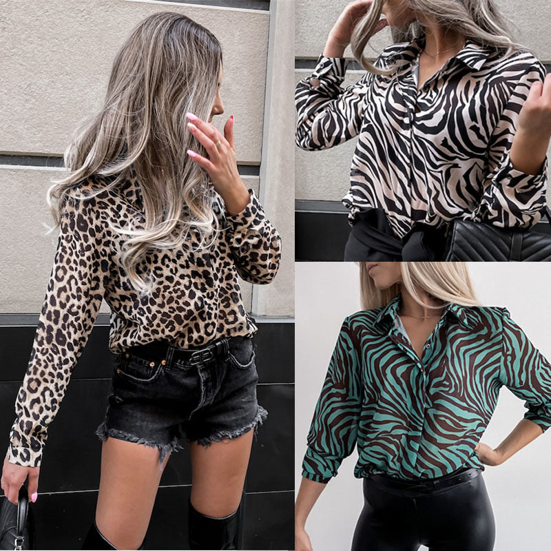 Women's V-Neck Printed Long Sleeve Elegant Top