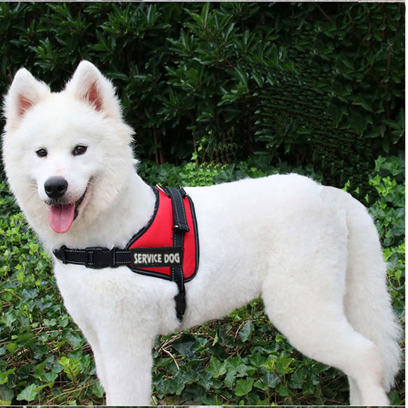 Chest strap for pet dog