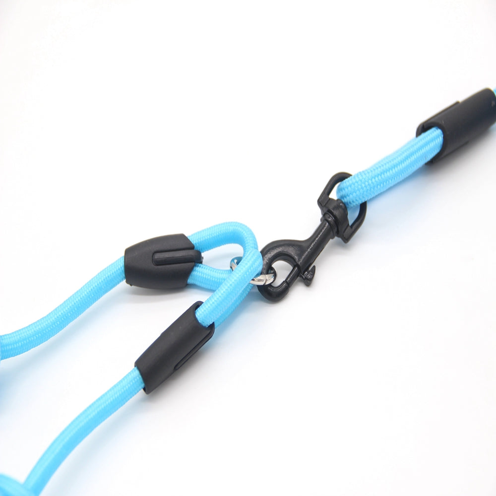 Double traction rope dog walking training
