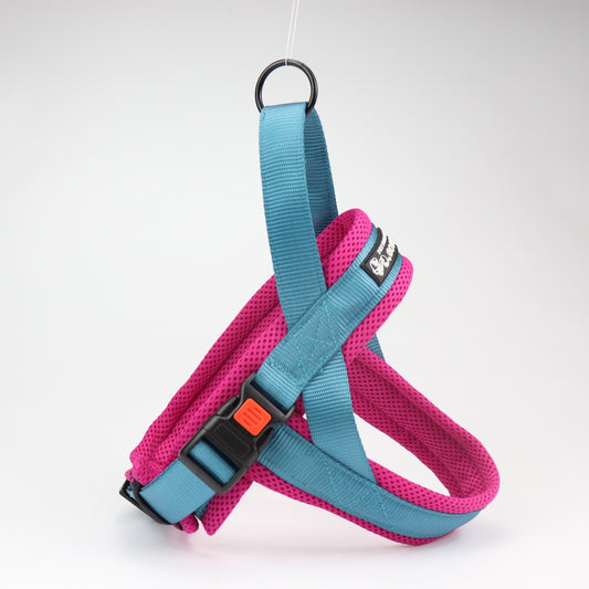 Chest And Back Pet Chains Collars Leash Pet Supplies