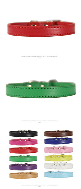 Large pet leash collar